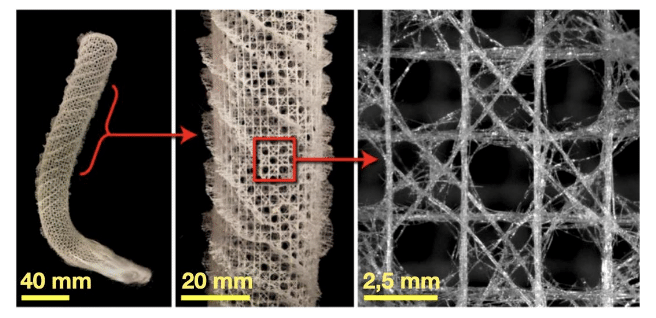 Organisation spatiale d’une éponge Euplectella aspergillum à différentes échelles. Cette structure naturelle est architecturée car elle est formée d’un matériau qui possède une architecture interne sur plusieurs échelles.