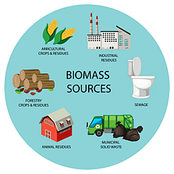Figure 1. Types des biomasses (Freepik)